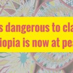 Launch of the Ethiopia Watch Report: It is dangerous to say Ethiopia is at Peace