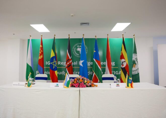 Af4HA Welcomes IGAD’s Resolutions on Sudan – but Calls to Align IGAD Action to the Will of the People