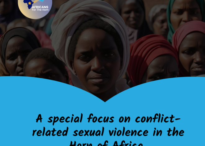 A Special Focus on Conflict-Related Sexual Violence in the Horn of Africa 