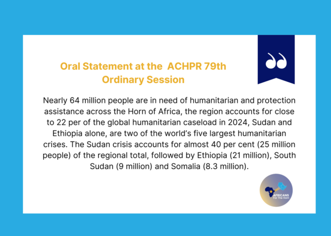The Statement on the Human Rights situation in the Horn of Africa